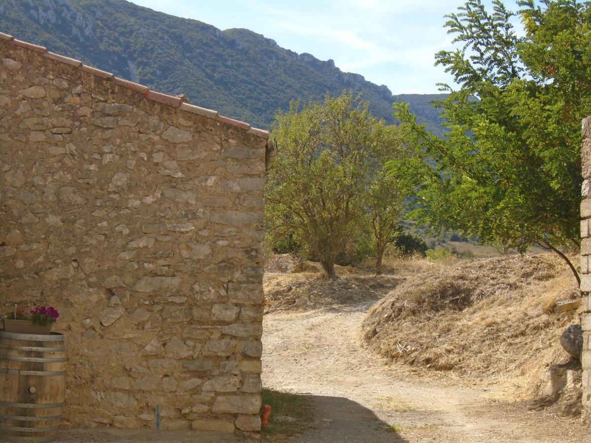 Chambre D'Hote Cucugnan Exterior photo